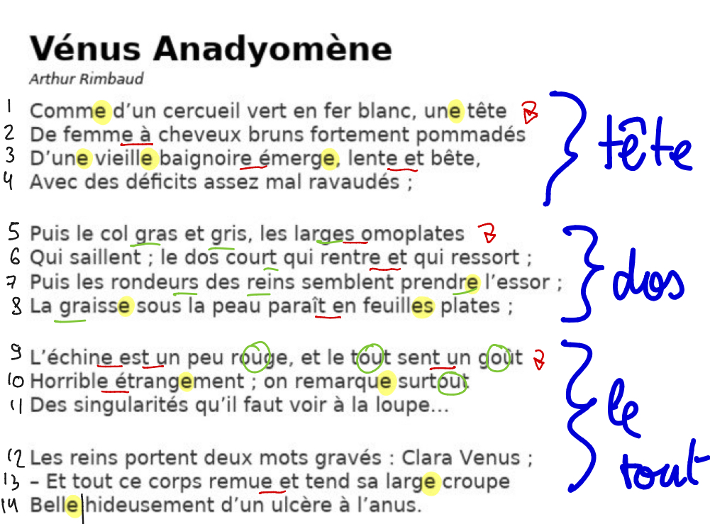 <p>Malgré son apparence traditionnelle, en effet c’est un sonnet qui parle de mythologie antique, ce poème est en vérité très osé. Il s’oppose au motif classique de la naissance de Vénus sortie de l’écume pour décrire laborieusement la sortie d’une baignoire <span>d’une vieille prostituée, et surprend le lecteur jusqu’au dernier vers. </span></p><p><em>LECTURE</em></p><p><strong>Comment, à travers ce sonnet surprenant, A.R. prend véritablement à contrepied la tradition poétique?</strong></p><p><strong>I - La tête</strong> (1er quatrain)</p><p><strong>Il - Le dos</strong> (2eme quatrain)</p><p><strong>III - Le tout</strong> (les 2 tercets)</p><p></p>