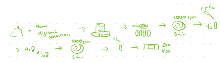 digestive method scheme