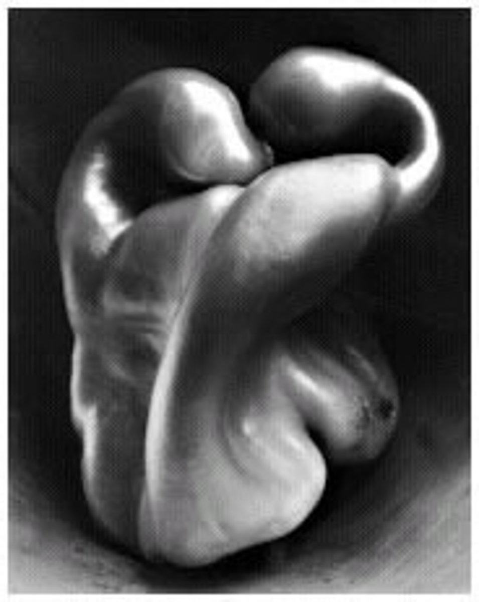 <p>Bell pepper photo. Cabbage leaf photo. Angles as framing objects for nudes. Natural form and figure. Some of his nudes were very out of focus.</p>