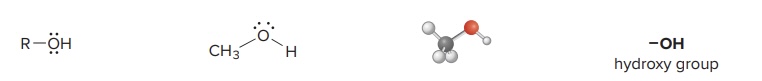 <p>a molecule with a carbon skeleton and an <span style="color: blue;"><strong>OH</strong></span> group <span style="color: rgb(39, 245, 15);">(hydroxy group)</span> that makes the molecule have lone pairs and polar bonds that make it reactive</p><ul><li><p><span style="color: green;"><strong>Example:</strong></span> Ethanol</p></li></ul><p></p>