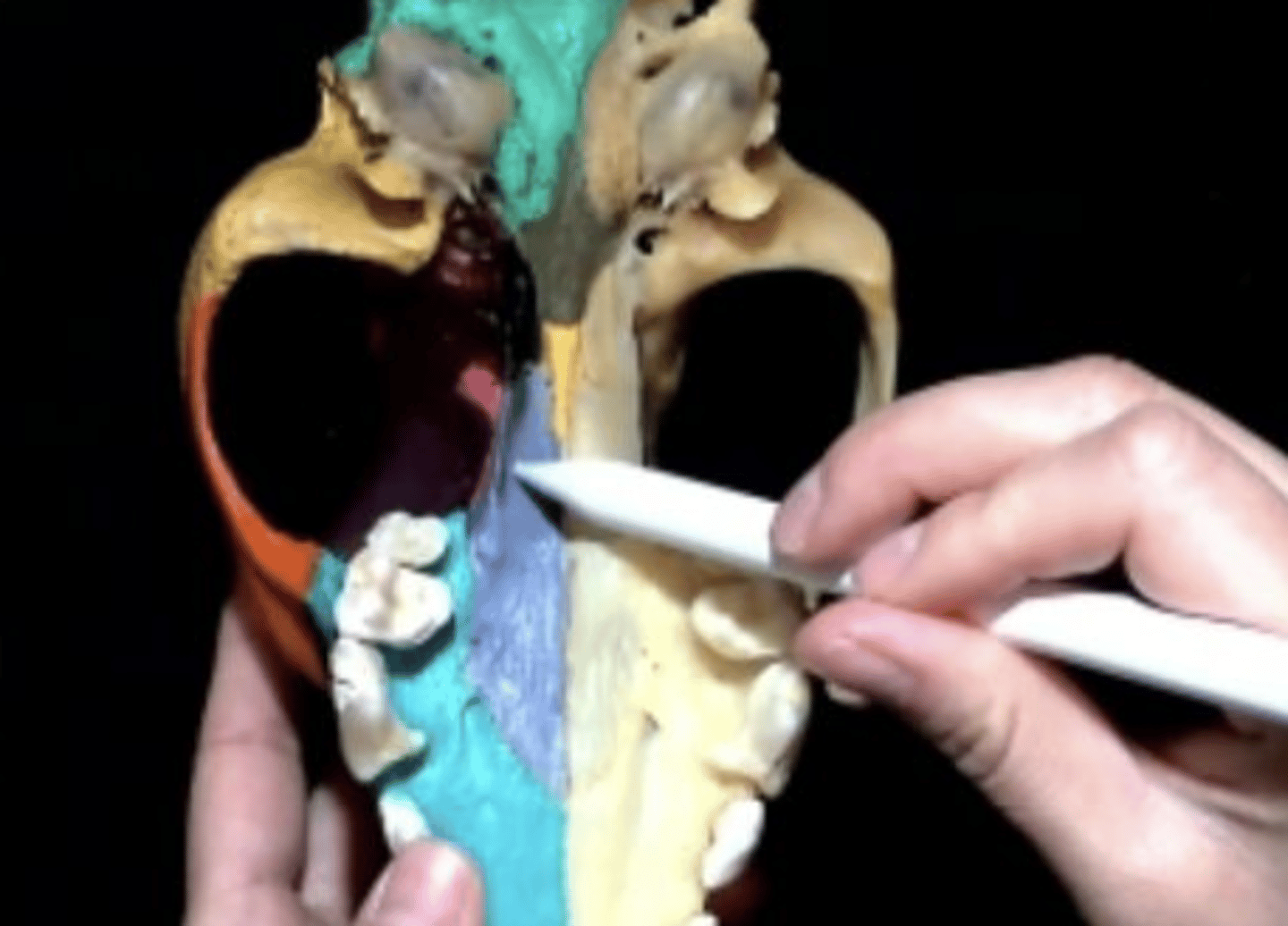 knowt flashcard image