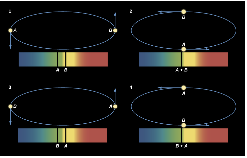 <p>appear as 1 star but can be measured as binary stars on a spectrum (track blue/redshift of their orbital motion)</p><ul><li><p>Absorption lines vary based on brightness (more bight=better line)</p><ul><li><p>Blue=toward; Red=away (Doppler Effect)</p></li></ul></li></ul><p><strong>Spectroscopic stars move radially </strong>(toward/away) from Earth. That’s how we measure their shift (proper motion could be observed as visual binary).</p><p><strong>Star that has more motion</strong> (greater blue/redshift) on graph is <strong>less massive </strong>star (further from center of mass that the stars are orbiting=less mass).</p>