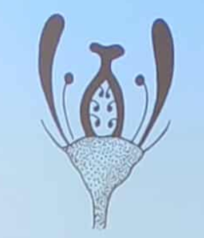 <p>umieszczenie słupka na dnie kwiatowym </p>