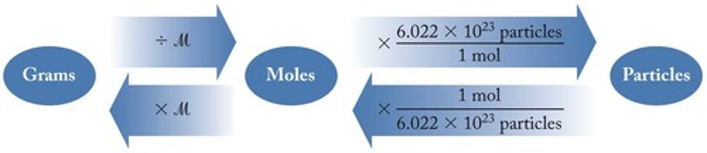 <p>The quantitative relationship between the reactants and products in a balanced chemical equation.</p>