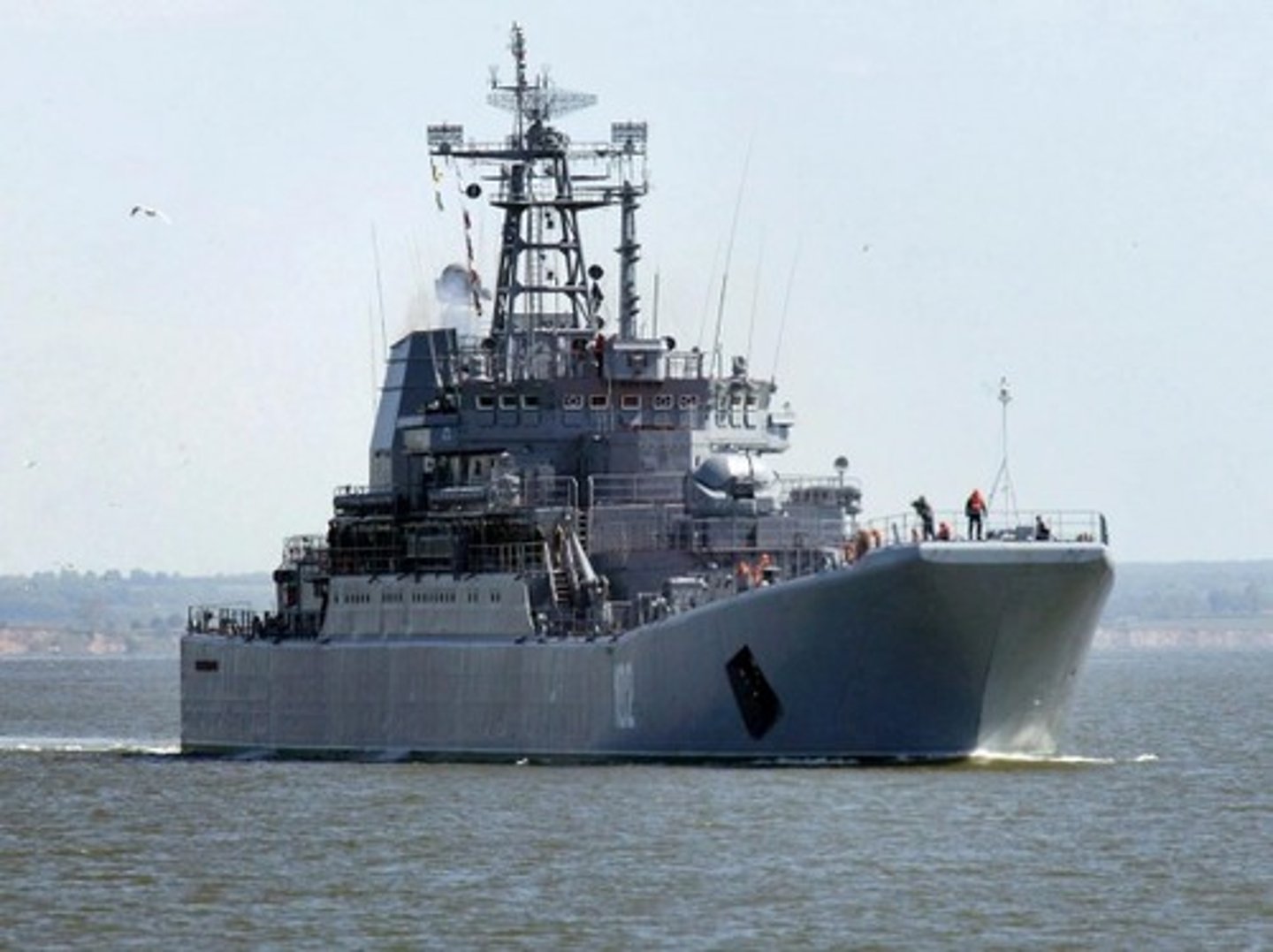 <p>naval</p><p>Navy</p>