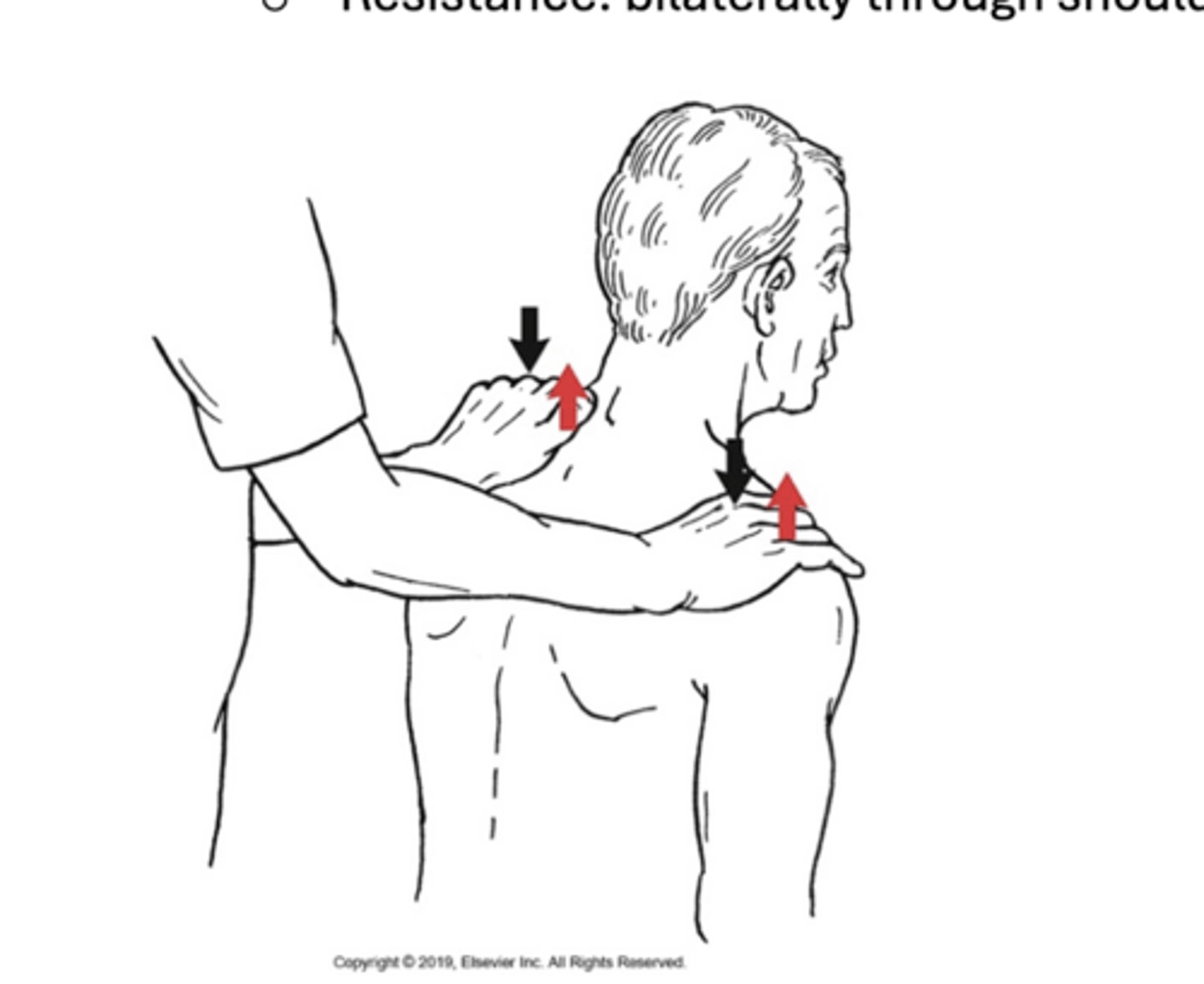 <p>Prime mover: Upper fibers of trapezius and Levator Scapula</p>