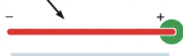 <p>prevents assembly & disassembly at plus end</p>