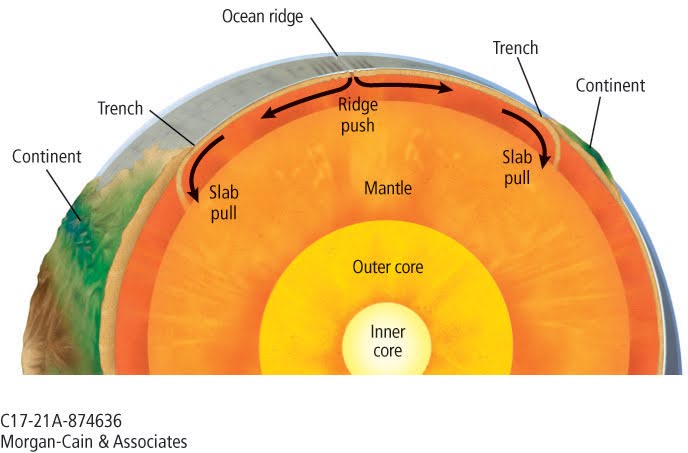 <p><strong>Ridge push:</strong> occurs at divergent boundary, creates an ocean ridge</p><p>Crust created</p><p><strong>Slab pull: </strong>occurs at convergent boundary, creates an ocean trench.</p><p>Crust destroyed</p>