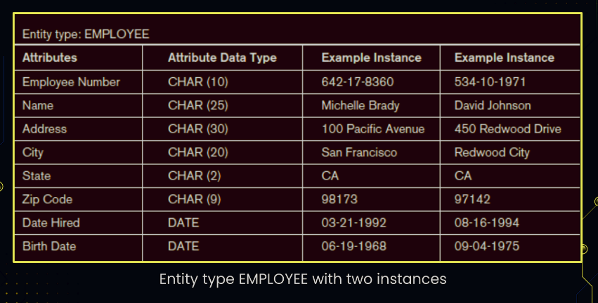 <p>a single occurence of an entity type</p>