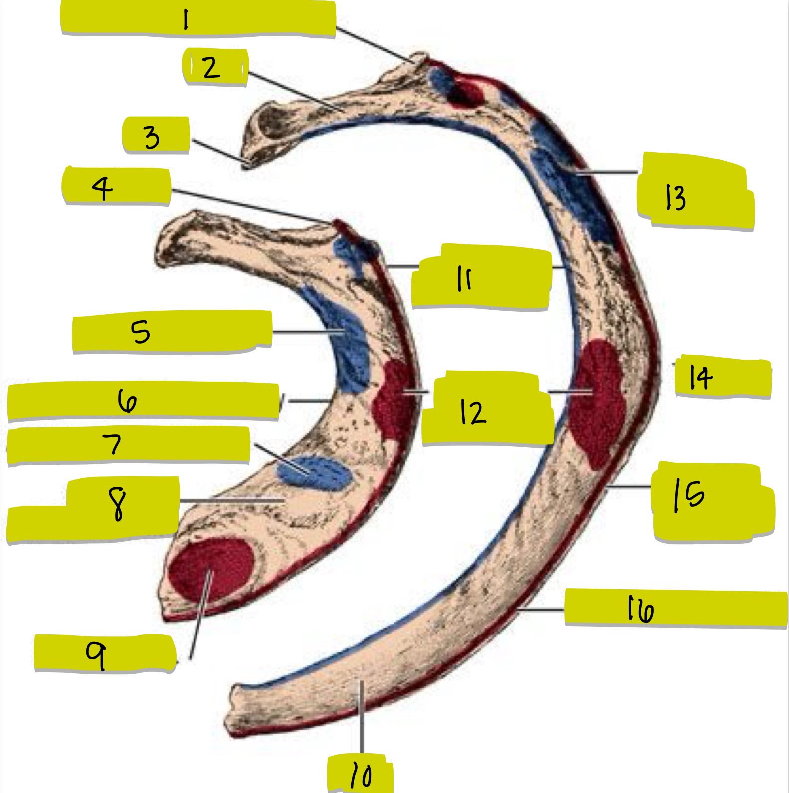 <p>What is 15</p>