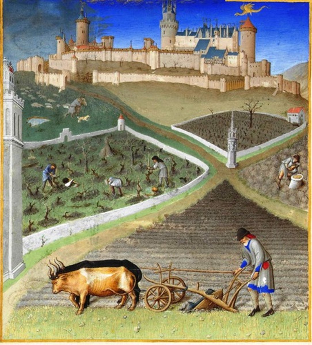 <p>economic plan by which a knight allowed peasants to farm his land in return for food or other payment</p>
