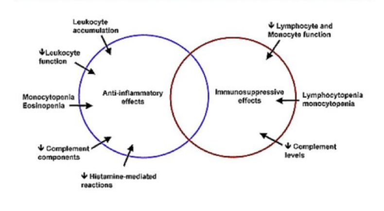 <p>Termen omfattar naturligt kortisol och syntetiska derivat. Läkemedel är receptoragonister som binder och aktiverar <strong>glukokortikoidreceptorn</strong> (GR). Effekten är överlappande med NSAIDs (se bild).</p><p>Det är både anti-inflammatoriskt och <strong>immunomodulerande</strong>. Det sker cellulärt genom att dämpa leukocyternas aktivitet → mindre cytokiner produceras. Det ger en bred systemisk effekt med hög biverkningsfrekvens.</p><p>Det används för att dämpa inflammation vid autoimmuna och inflammatoriska sjukdomar - tex vid astma.</p>