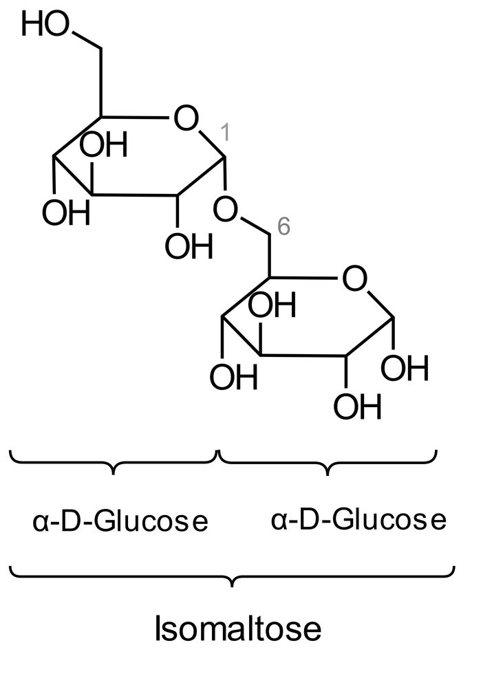 <p>D. 2 mol glucose</p>
