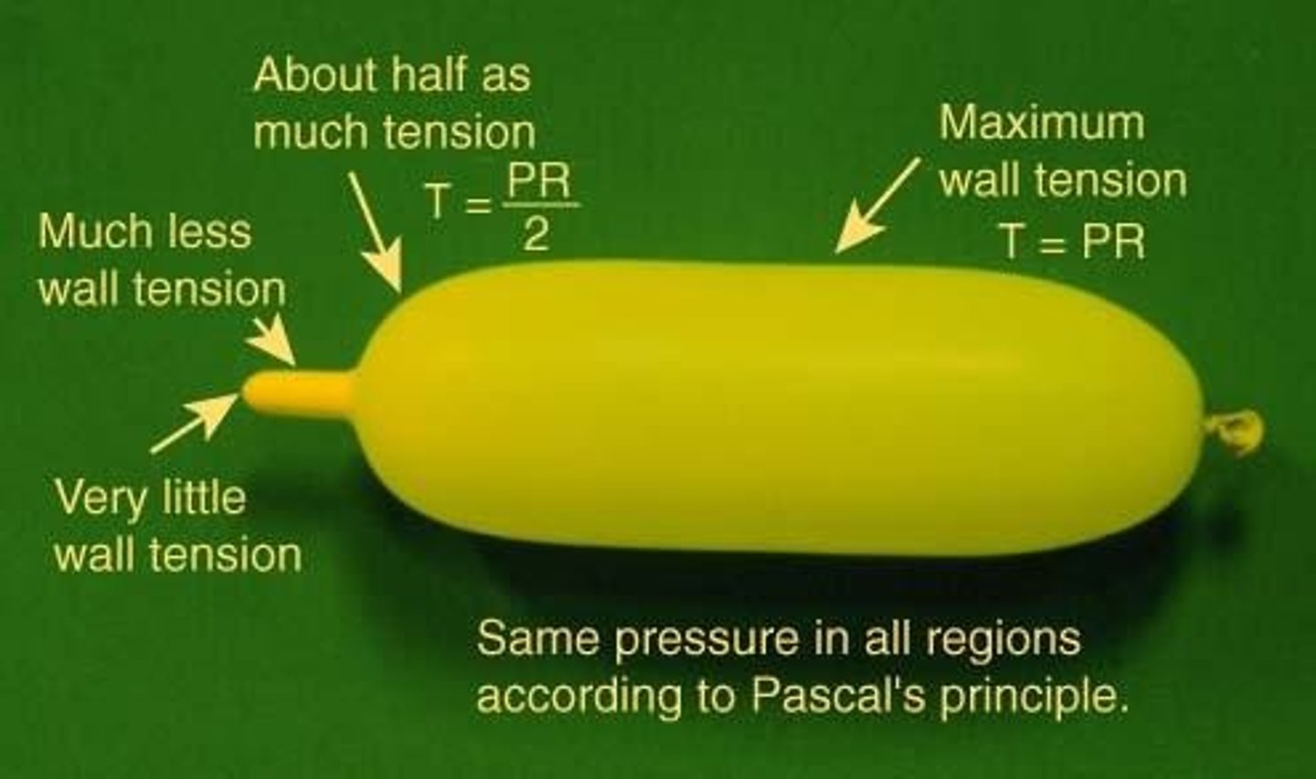 <p>LaPlace's Law states that larger vessel radius requires larger wall tension to withstand internal fluid pressure.</p>