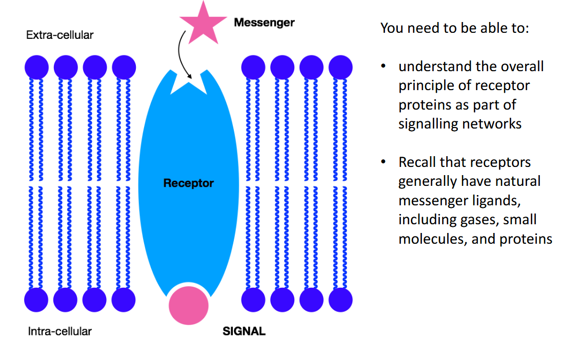 <p><a target="_blank" rel="noopener noreferrer nofollow" class="link" href="https://knowt.com/flashcards/a0c20b3c-6bfa-4bb5-b95a-e610d1818acc" data-prevent-progress="true">https://knowt.com/flashcards/a0c20b3c-6bfa-4bb5-b95a-e610d1818acc</a>  </p><p>card 12&nbsp;</p>