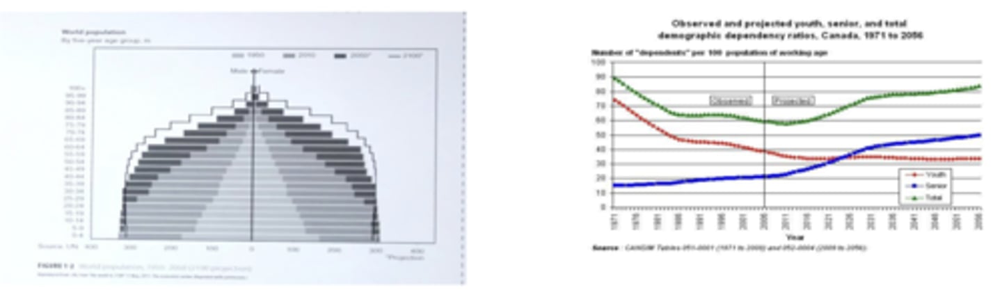 <p>The age distribution is shifting, but it is not a crisis if we understand the trends and respond with evidence-based, feasible policies.</p>