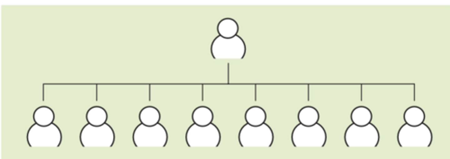 <p>one with few levels of hierarchy and wide span of control</p>