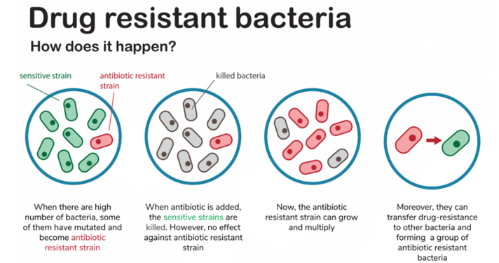 <p>Sensitivity Testing </p>
