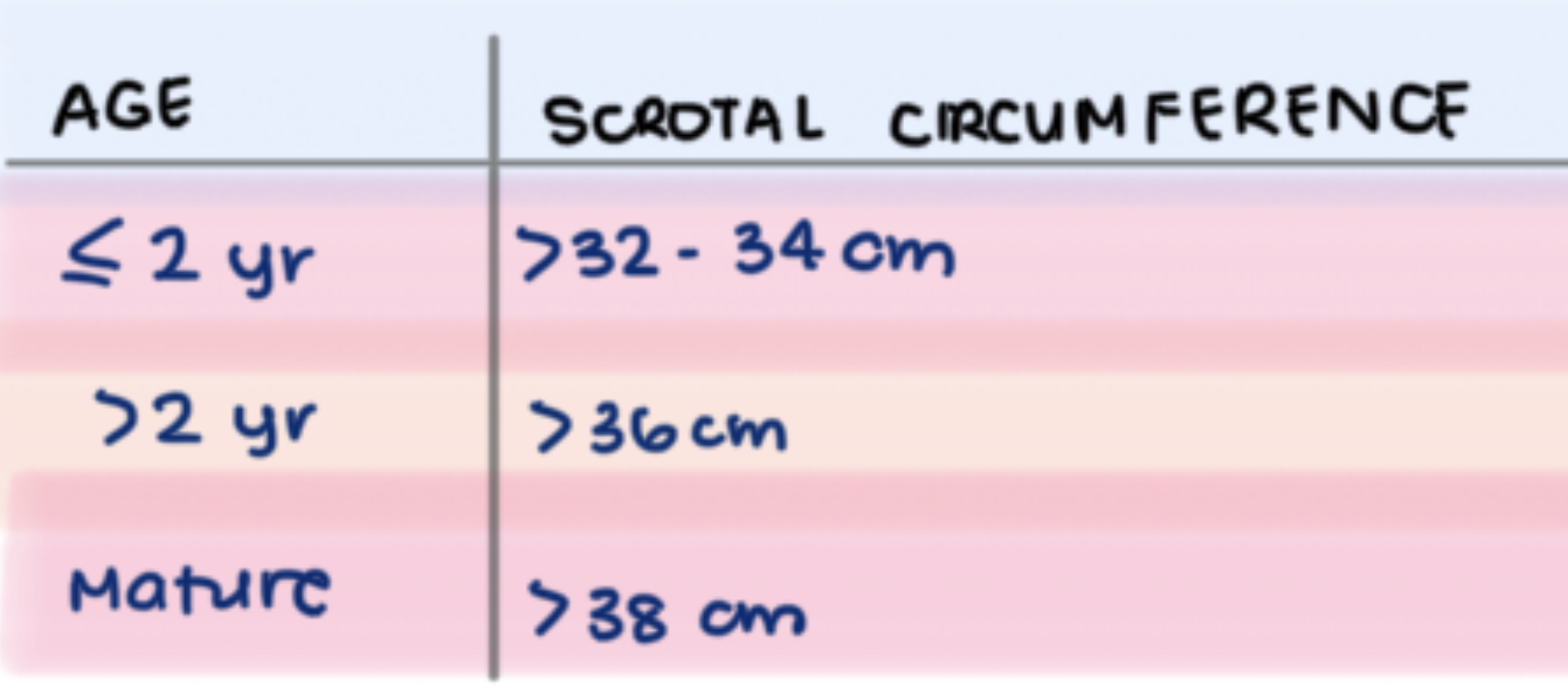 * external lesions 
* scrotal- size, tone, symmetry, lesions 
* want mature size to be >38cm 


* prepuce + penis 