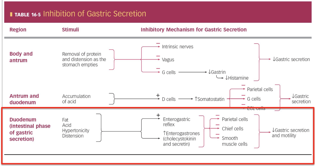 <p>will activate both nerves and hormones (CCK + secretin) that collectively inhibit H<sup>+</sup> secretion, pepsinogen, smooth muscle contraction, and overall reduce gastric secretion and motility</p><ul><li><p>inhibitory → slow down stomach</p><ul><li><p>not a lot of acid content</p></li></ul></li><li><p>removing protein and extension as stomach empties gradually removes signal that activated stomach</p></li></ul><p></p>