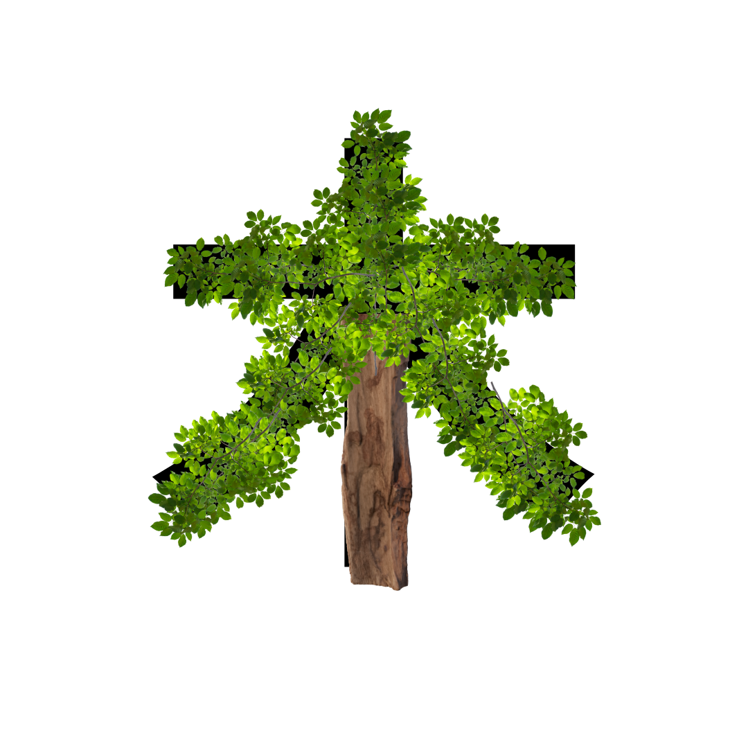 <p><strong>木</strong></p><p></p><p><span style="color: rgb(169, 169, 169);"><span>Words:</span></span></p><p><span style="color: rgb(169, 169, 169);"><span>木　き　Tree</span></span></p><p><span style="color: rgb(169, 169, 169);"><span>木曜日　もくようび　Thursday</span></span></p>