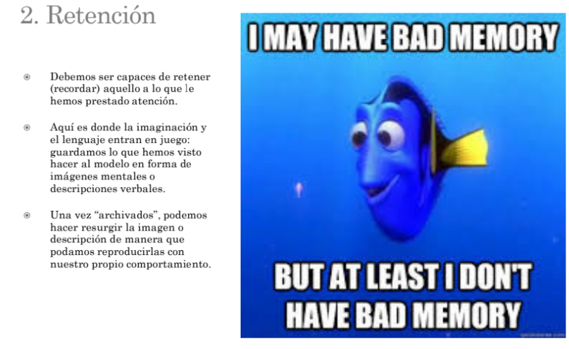 <p>KEY LENGUAJE VERBAL Y IMAGINACION</p>