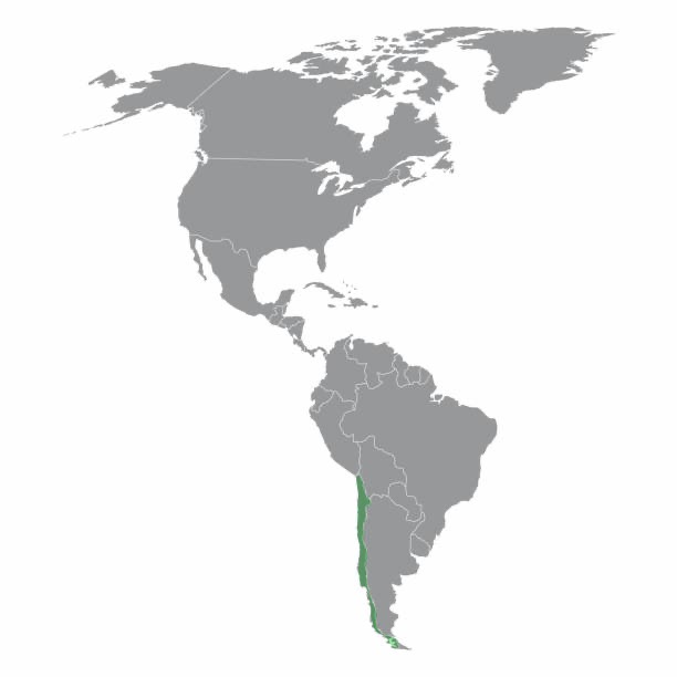 <p>Country highlighted in picture?</p>