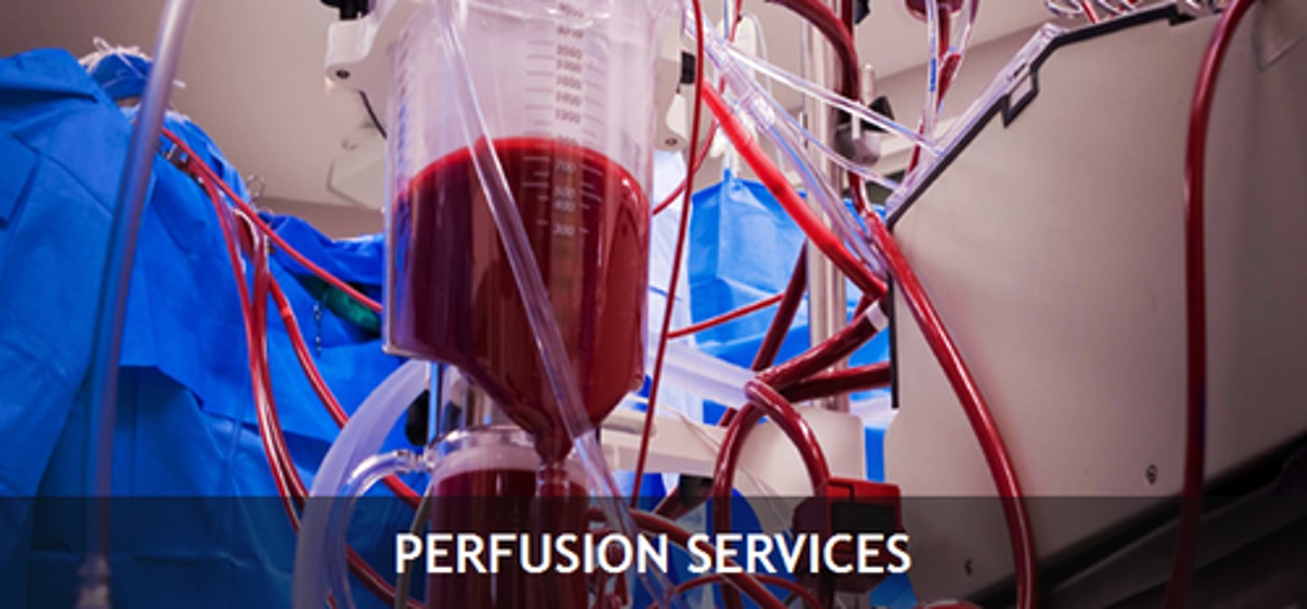 <p>The supply of oxygen to and removal of wastes from the cells and tissues of the body as a result of the flow of blood through the capillaries.</p>