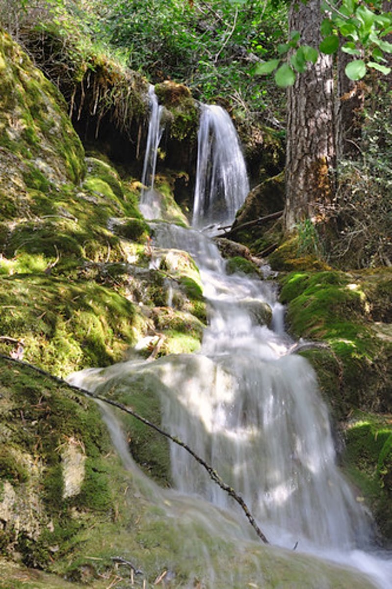 <p>A point of origin of a river or stream. </p><p>(Also known as headwater)</p>