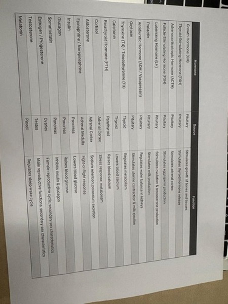 <p>Pituitary; Stimulates growth of bones and tissues</p>