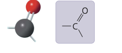 <p>carbonyl group</p>