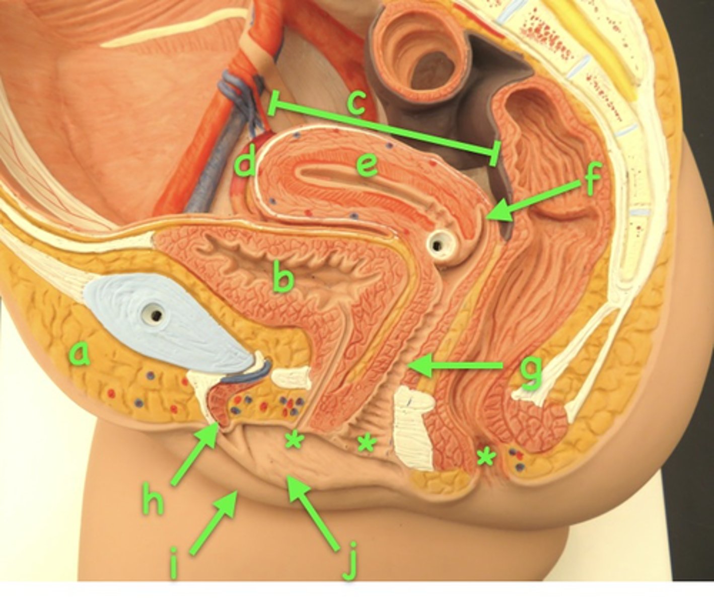 <p>a</p>