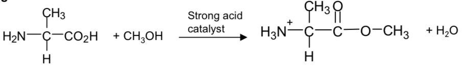 <p>Esterification</p>