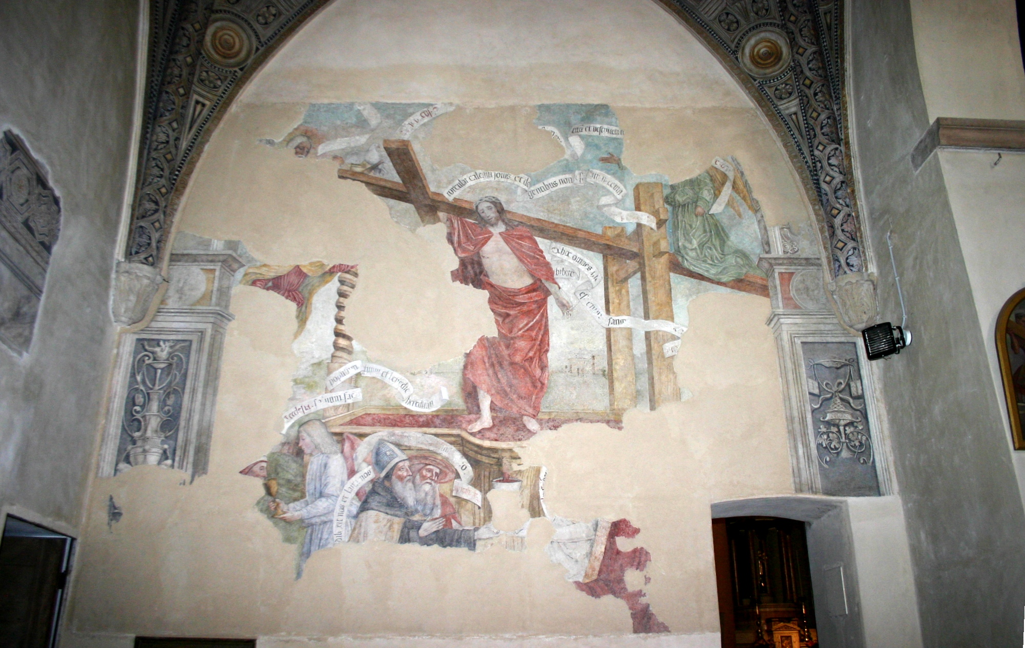 term image