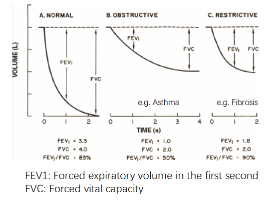<p>Restrictive: dec in lung compliance→resp musc must work harder to stretch stiff lung</p><p>→Caused by scar tissue or inadequate surfactant</p><p></p><p>Obstructive: dec air flow bc inc airway resistance from physical obstructions: mucus, asthma, bronchoconstriction</p>