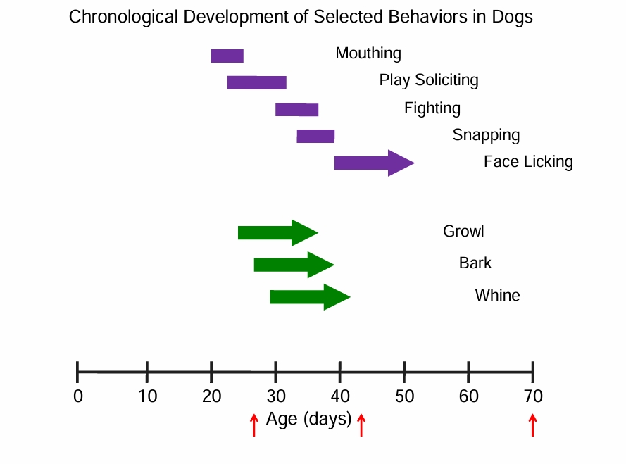 <p>(arrow means it continues on)</p>