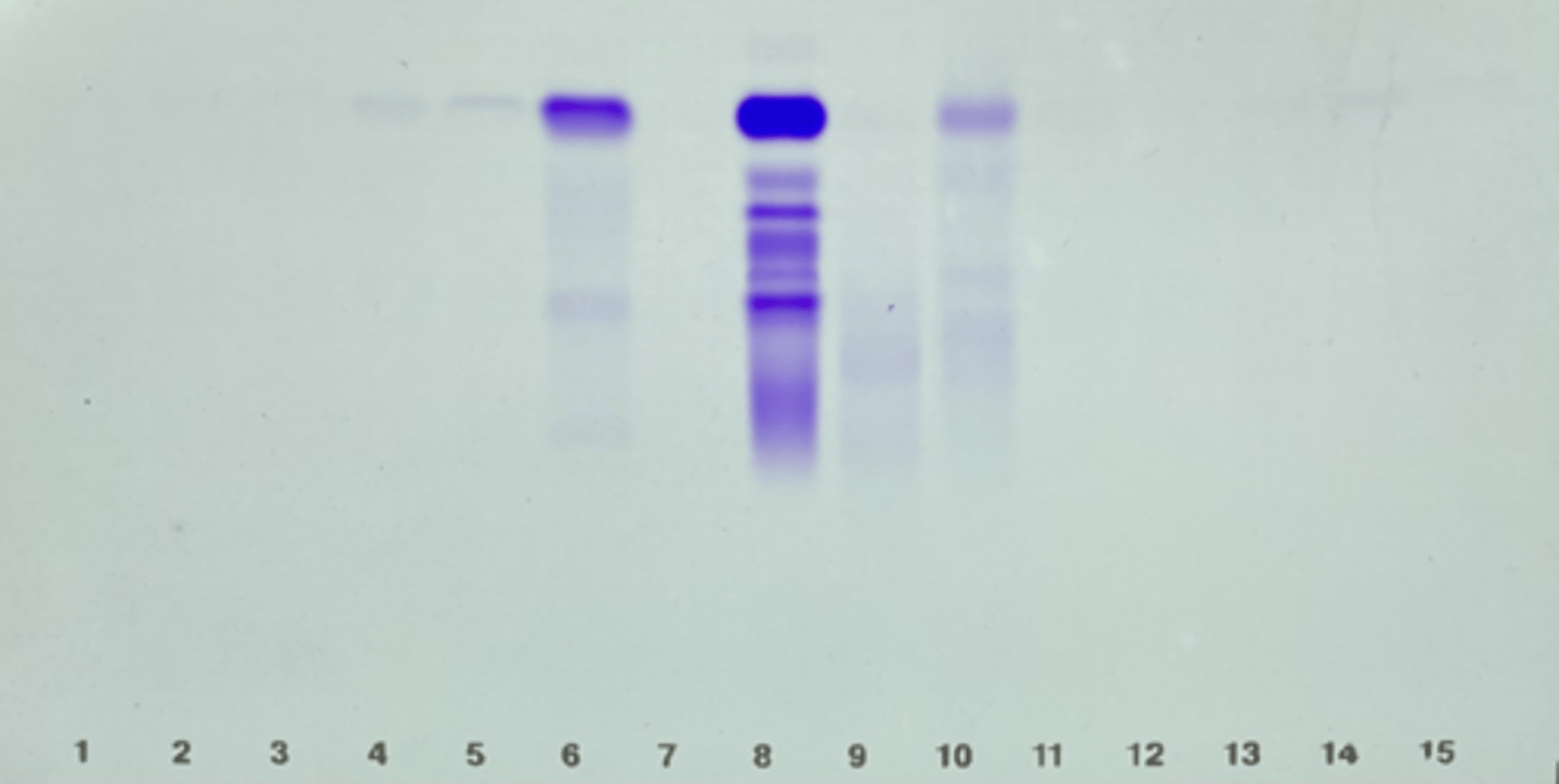 <p>Anode (+): red end, positive current</p><p>Cathode (-): black end, negative current</p>