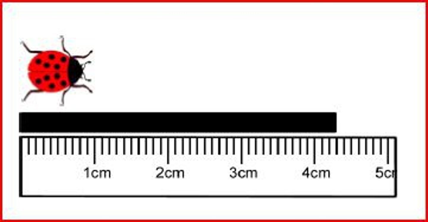 <p>A metric unit of length equal to 0.01 of a meter.</p>