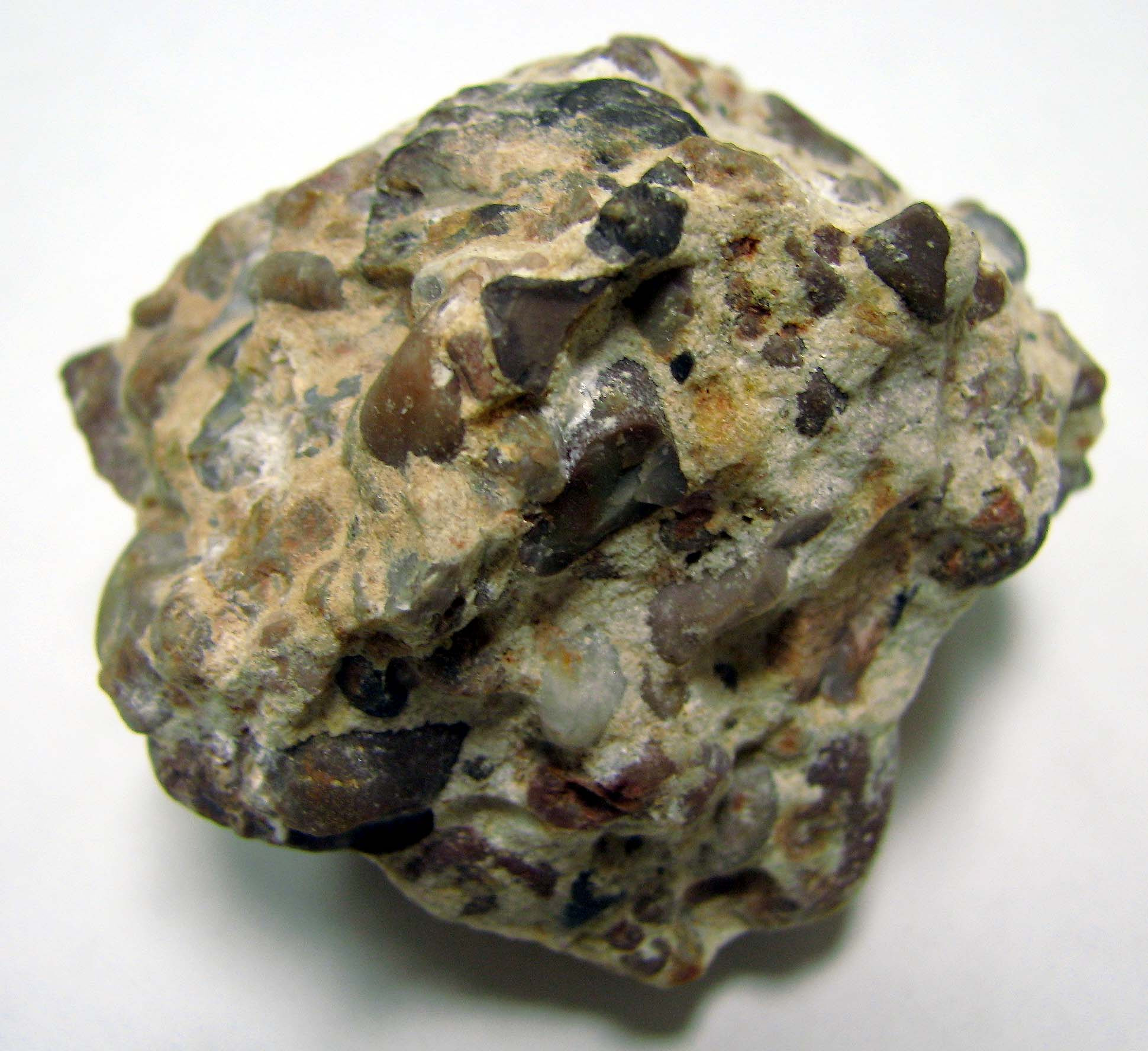 <p>Visible gravel-sized grains, sedimentary</p>