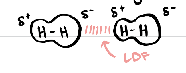 <ul><li><p>short-lived attractions between instantaneous and induced dipoles</p></li><li><p>occurs in all molecules because electrons are always moving</p></li><li><p>larger atoms = stronger LDFs = higher boiling points</p></li><li><p>strongest in heavier molecules and molecules with greater surface area (therefore linear molecules have stronger LDFs than rings)</p></li></ul><p></p>