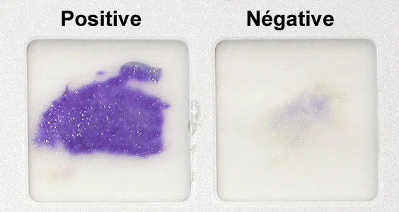 <ul><li><p>tests for the presence of cytochrome oxidase</p></li></ul><ul><li><p>Positive result- formation of a purple color within minutes</p></li><li><p>Negative result- no color change</p></li></ul>