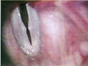 <p></p>