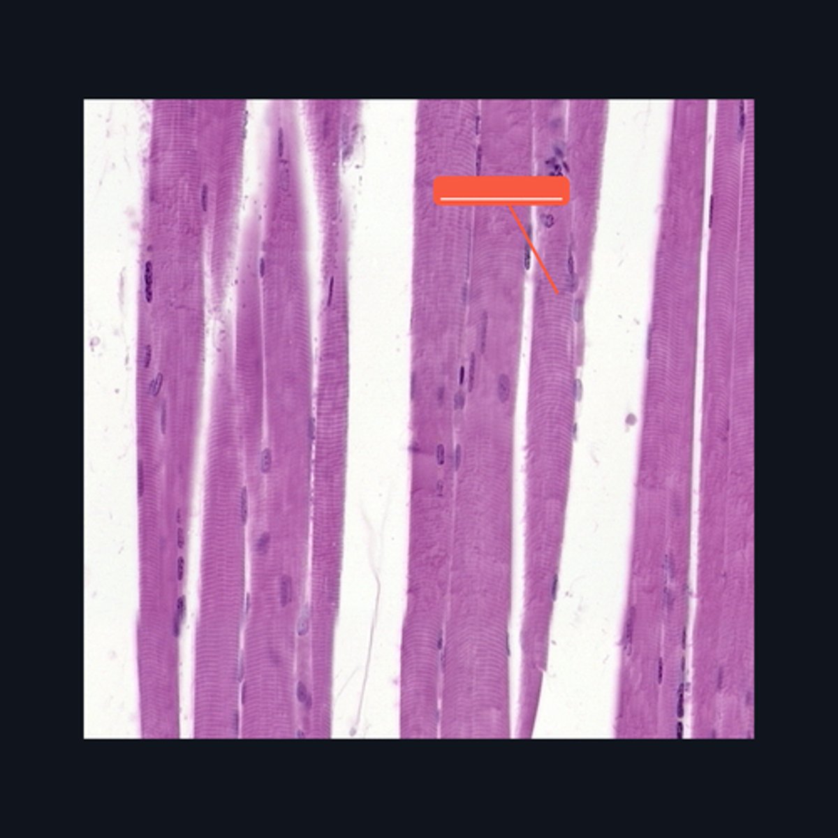 <p>Identify the structure</p>