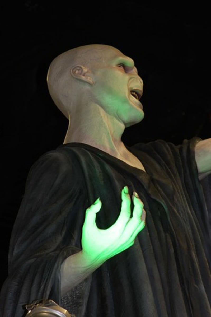 <p>The ultimate, looming villain in the story. They exist to create threat and conflict for the hero, in addition to provide something to struggle against.</p>