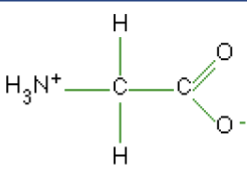 <p>What macromolecule is this?</p>