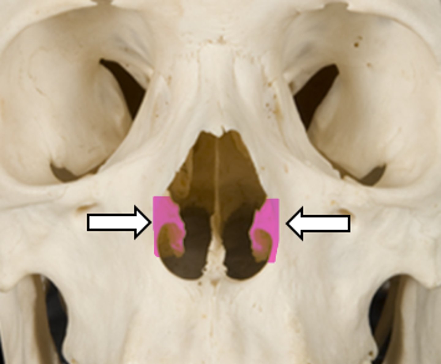 <p>name the parts</p>