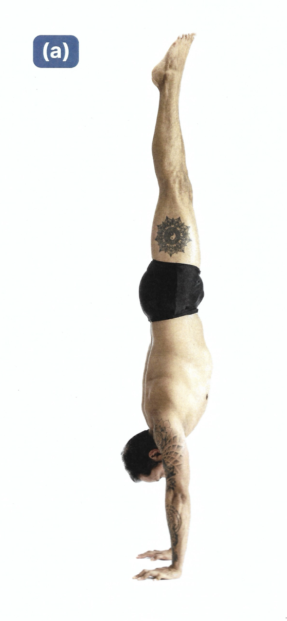 <p>Handstand</p>