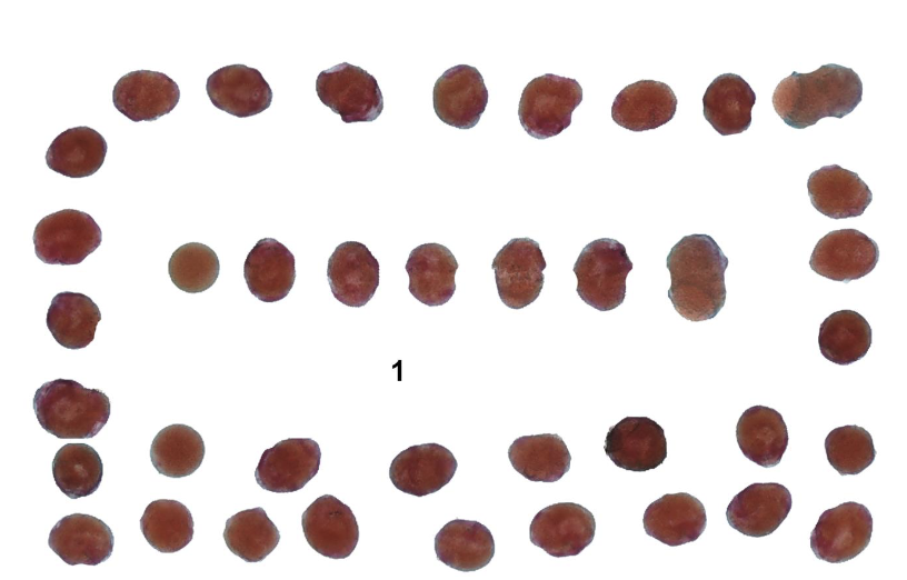 <p>What is this?</p>