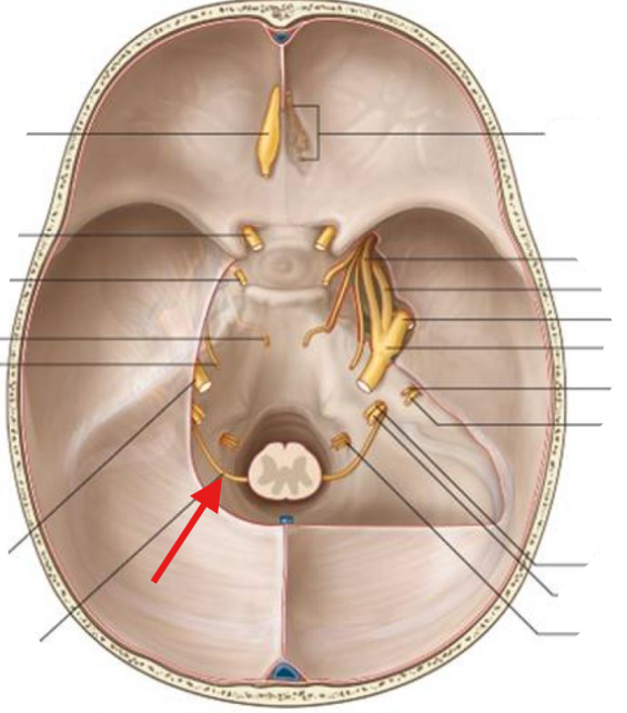 <p>What is this structure?</p>
