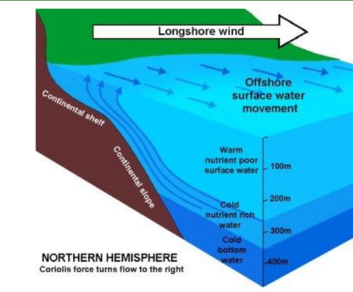 <p>_____ occur along the steep western coasts of some continents, winds blowing along the coasts push surface water away from land and draw water up</p>